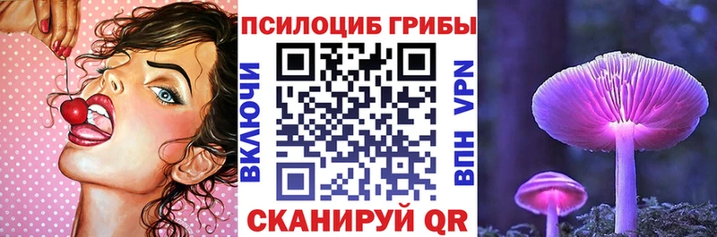 Псилоцибиновые грибы Magic Shrooms  даркнет сайт  Ак-Довурак 